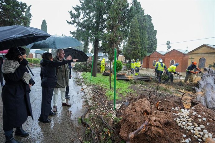 El alcalde de Sevilla, José Luis Sanz, visita el Cementerio municipal de la ciudad para valorar los daños causados por la borrasca Leonardo.