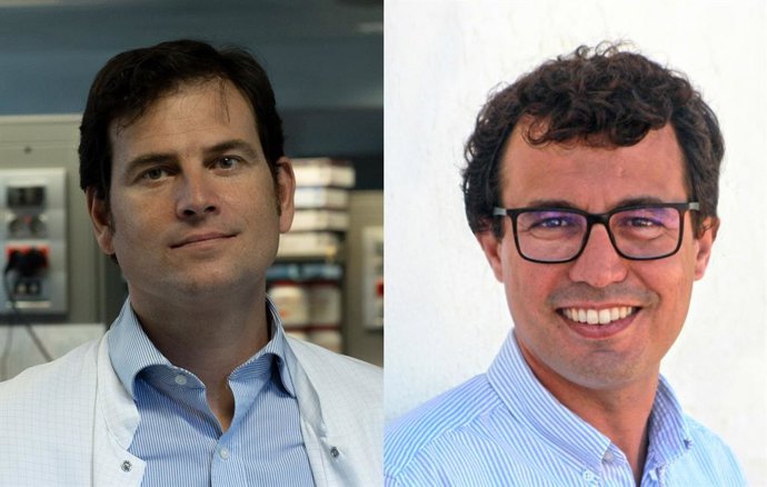 El CNIC muestra que los betabloqueantes no aportan beneficio tras un infarto de miocardio