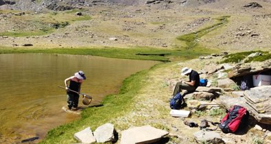 Es Andalucía - Sevilla