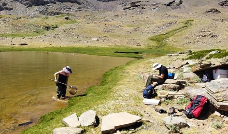 Es Andalucía - Sevilla