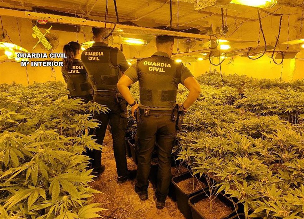 Sucesos.- La Guardia Civil desmantela en Archena un grupo delictivo que cultivaba gran cantidad de marihuana