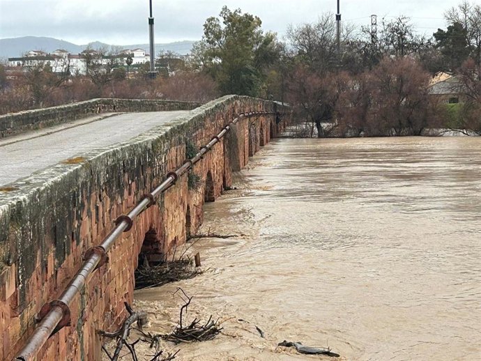El río Guadalquivir, crecido, a su paso por el Puente Romano de Andújar.