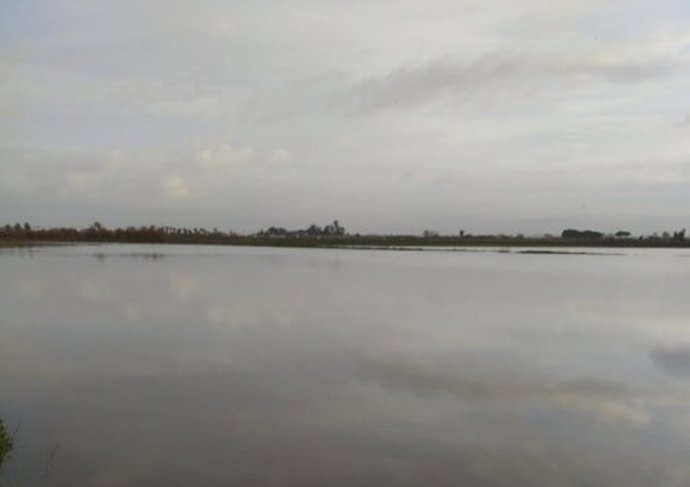 Imagen del paso de la borrasca por el Bajo Guadalquivir.