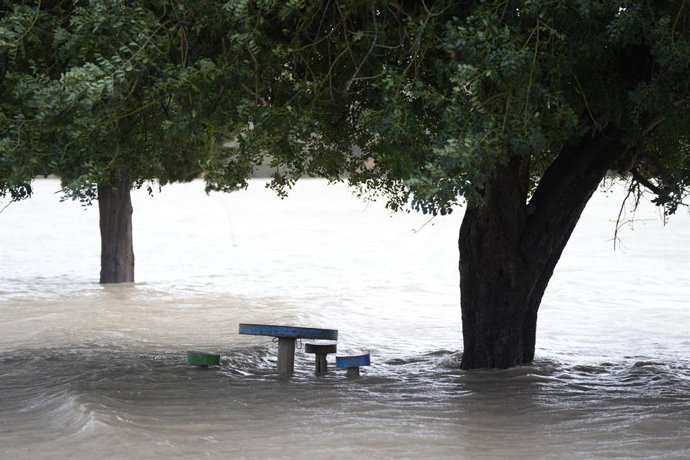 Zonas inundadas por las intensas lluvias de las últimas jornadas próximas a la localidad sevillana del Palmar de Troya. A 5 de febrero de 2026 en Cádiz (Andalucía, España). La provincia de Sevilla se encuentra en aviso amarillo este jueves hasta las 18 ho