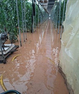 Efectos de la borrasca 'Leonardo' en un invernadero de Granada.