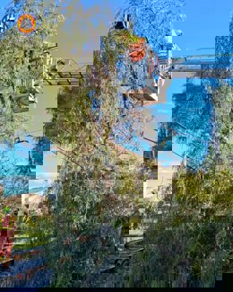 Imagen del árbol caído sobre la vía