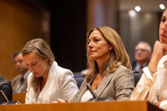 La diputada de Vox por Sevilla, Reyes Romero