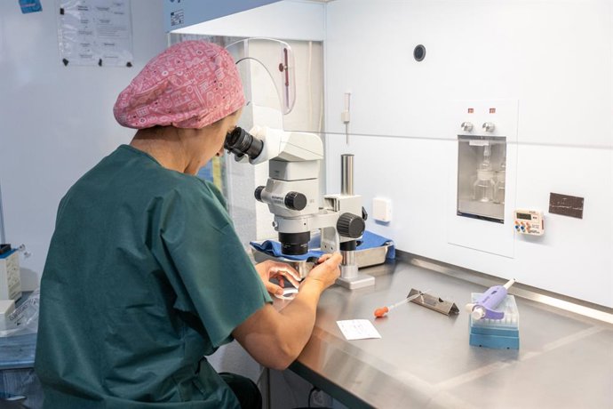 Archivo - Una profesional de la Unidad de Reproducción Asistida