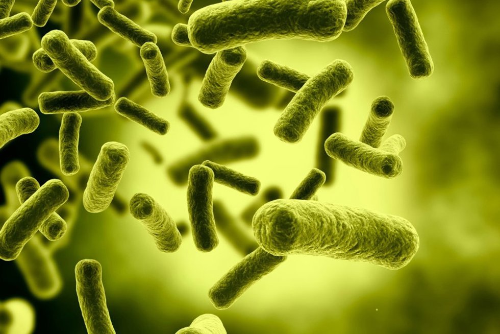 Imagen de recurso de antibióticos.