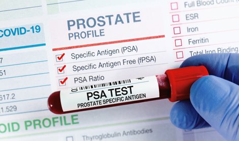 notibrasil sociedade