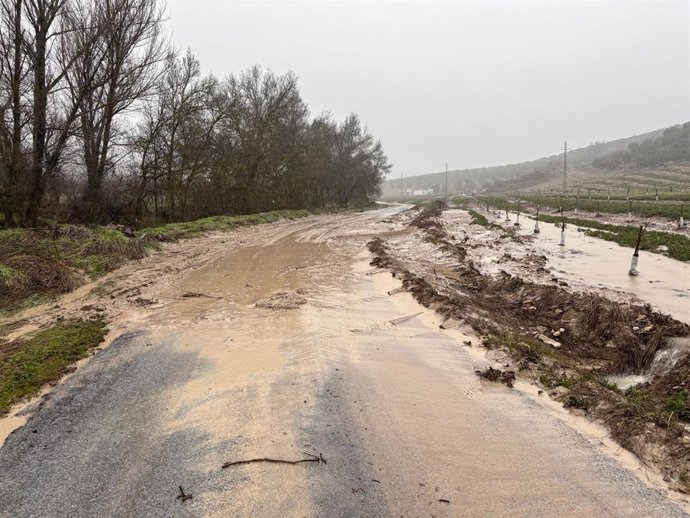 Imagen de una de las carreteras afectadas por la lluvia en Alcalá la Real