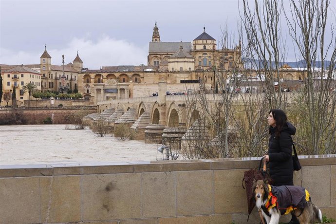 Subida del caudal del río Guadalquivir a su paso por Córdoba. 