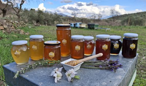 Comunicados Sociedad