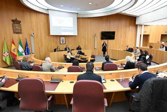 Pleno extraordinario de la Diputación de Granada para pedir la declaración de zona catastrófica tras el paso de la borrasca 'Leonardo'