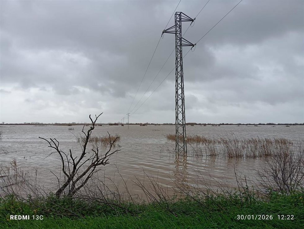 Marisma de Doñana inundada en la actualidad.