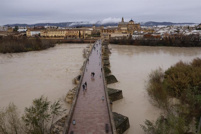 Aumento do caudal do rio Guadalquivir à sua passagem por Córdoba. A 5 de fevereiro de 2026 em Córdoba. Espanha. O presidente da Câmara Municipal de Córdoba, José María Bellido, afirmou que “o principal foco de preocupação” nesta quinta-feira pode estar no