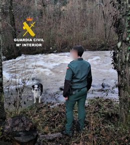 Un guía con un can especializado en seguridad y rescate (SYR) participa en las labores de búsqueda.