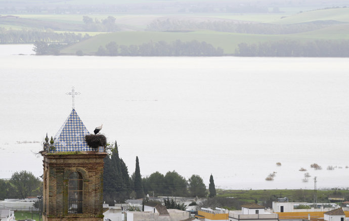 Imagen del pantano de Bornos superada su capacidad de embalsamiento. A 6 de febrero de 2026, en Bornos, Cádiz (Andalucía, España).