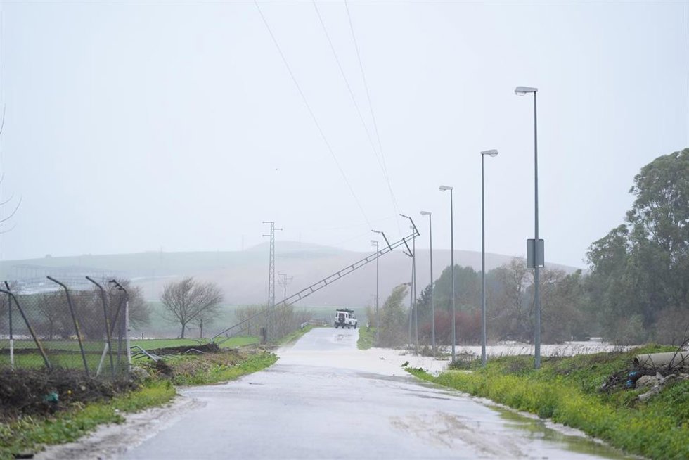 Caída del tendido eléctrico en la carretera de Villamartín a Bornos en la provincia de Cádiz provocado por la borrasca Leonardo.