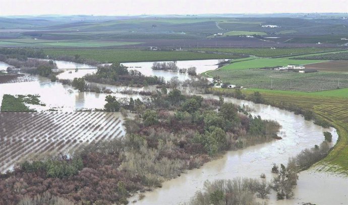 El río Guadalquivir se desborda a su paso por Almodóvar del Río A 6 de febrero de 2026 en Córdoba (Andalucía, España). 