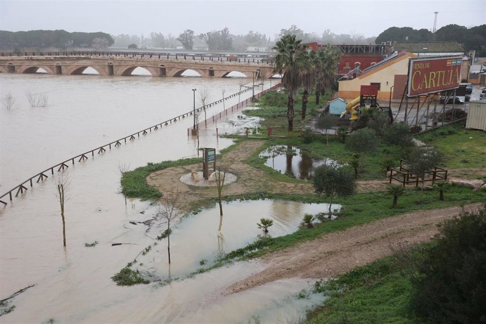 El río Guadalete desborda sus márgenes a su paso por la zona de Las Pachecas en Jerez.