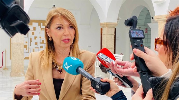 La portavoz del Grupo Socialista, Piedad Álvarez, atiende a los medios de comunicación en la Asamblea.