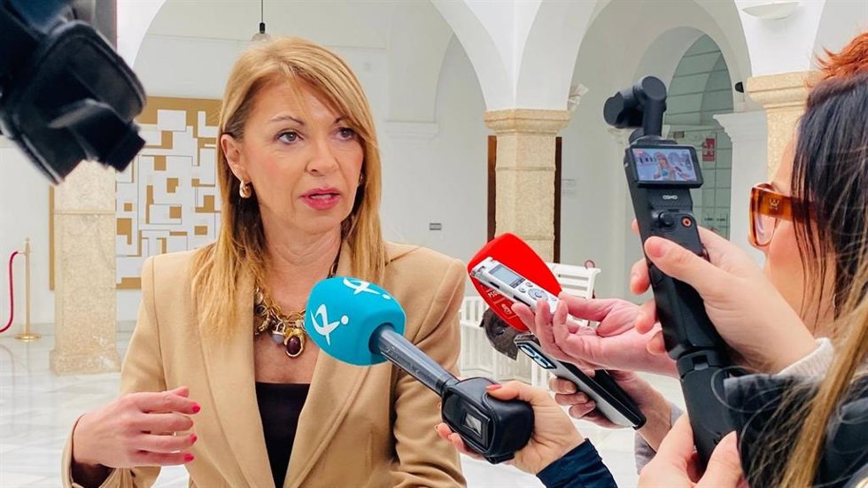 La portavoz del Grupo Socialista, Piedad Álvarez, atiende a los medios de comunicación en la Asamblea.