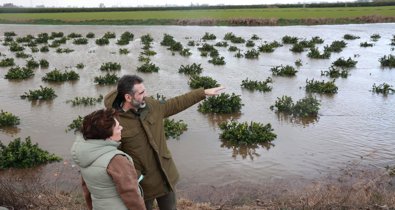 Es Andalucía - Sevilla