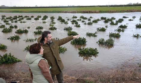 Es Andalucía - Sevilla