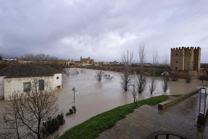 Ribera del Guadalquivir a su paso por Córdoba capital, inundada al haber superado el río los cinco metros de crecida de caudal. A 6 de febrero de 2026 en Córdoba (Andalucía, España).  Según los datos del Sistema Automático de Información Hidrológica (SAIH
