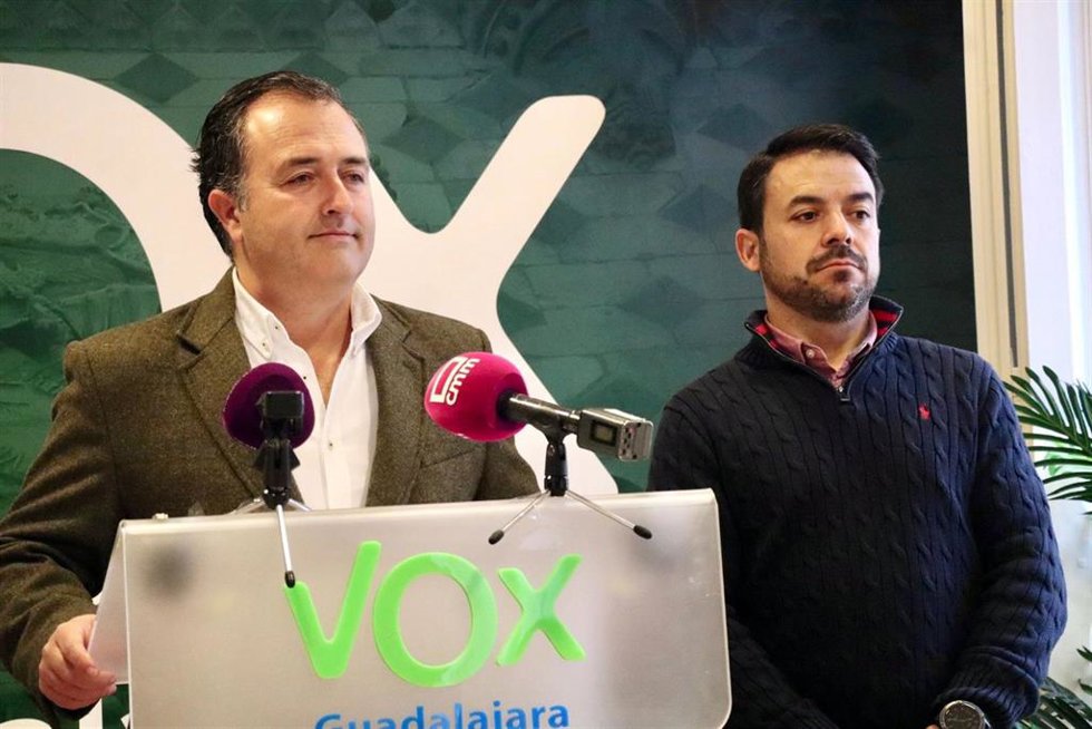 El presidente del Grupo Parlamentario Vox David Moreno.