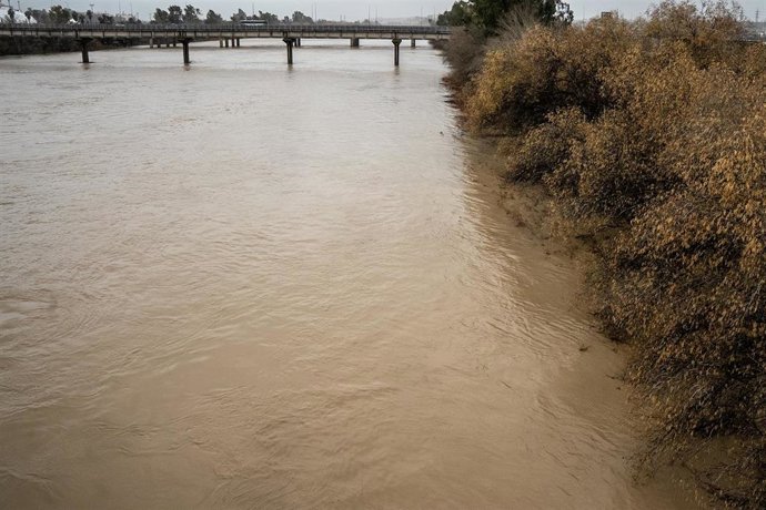 Crecida del río Guadalquivir por Sevilla. A 4 de febrero de 2026, en Sevilla (Andalucía, España). La borrasca Leonardo a su paso por la provincia de Sevilla ha provocado que en estos momentos se encuentren siete vías cortadas al tráfico, que el cauce del 