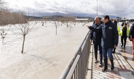 Es Andalucía - Granada