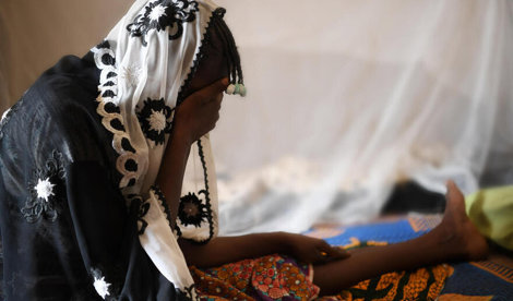 notibrasil sociedade