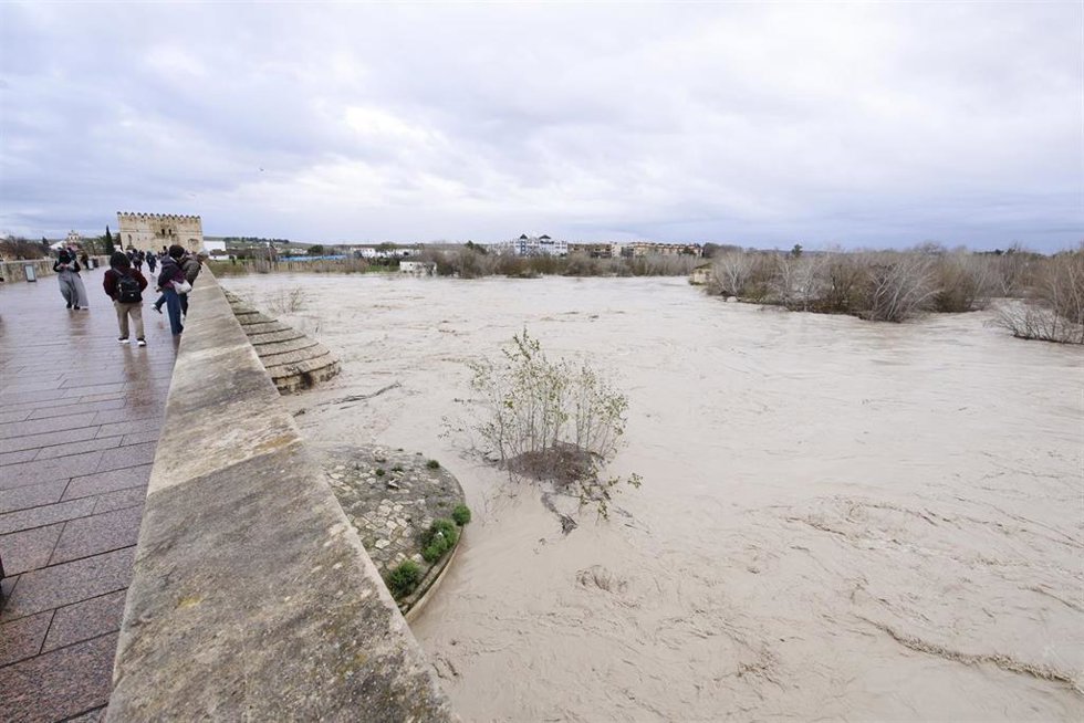 El río Guadalquivir supera, a su paso por Córdoba capital, los cinco metros de crecida de su caudal desbordando sus márgenes. A 6 de febrero de 2026 en Córdoba (Andalucía, España).