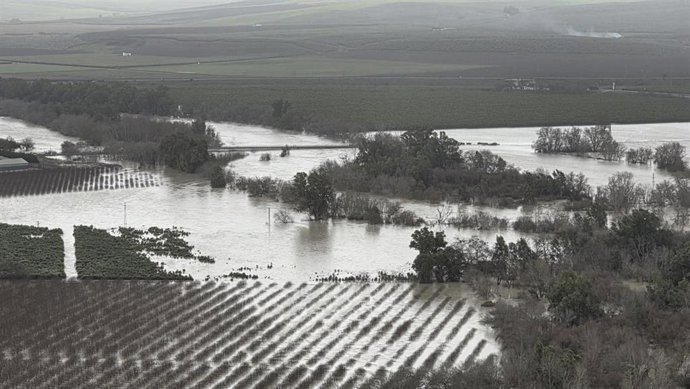 El río Guadalquivir, desbordado, a su paso por Almodóvar del Río.