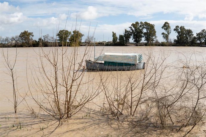Crecida del río  Guadalquivir a su paso por el pueblo sevillano de Coria.