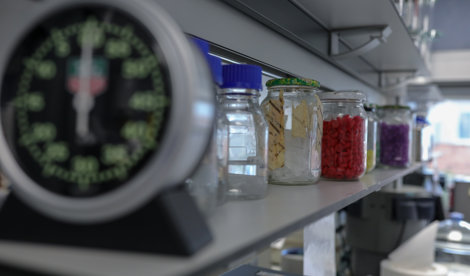 notibrasil sociedade