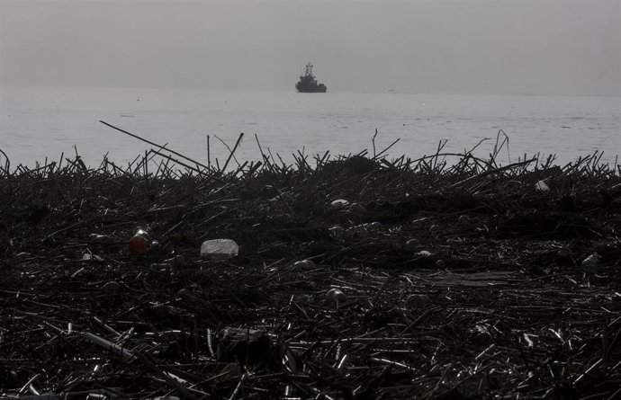 Archivo - Ramas y residuos arrastrados por la dana en la playa de Pinedo, a 5 de noviembre de 2024. ARCHIVO. 