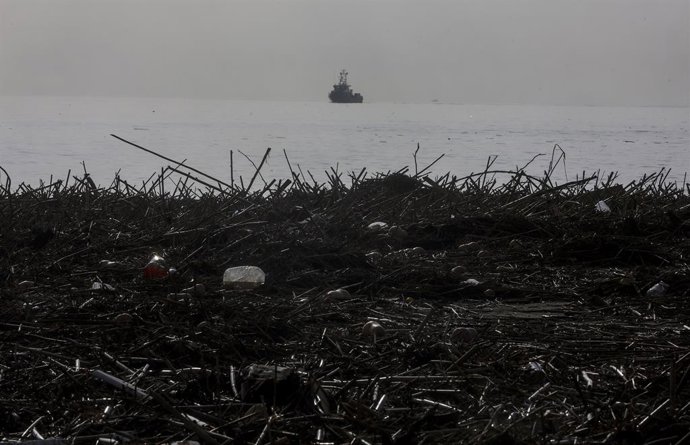 Archivo - Arxiu - Branques i residus arrossegats per la dana en la platja de Pinedo, a 5 de novembre del 2024. ARXIU. 