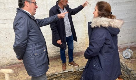 Es Andalucía - Málaga