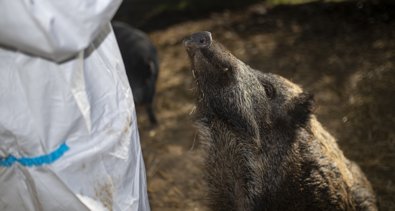 EpAgro - Agricultura