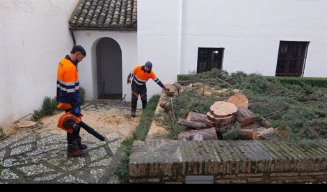 Es Andalucía - Granada