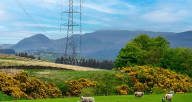 Energía y Medio Ambiente