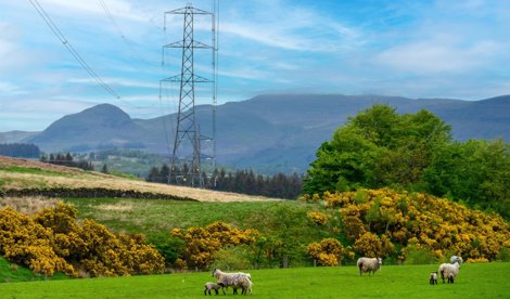 Energía y Medio Ambiente