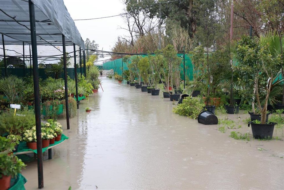 Un invernadero inundado tras el desbordamiento del río Guadalete a su paso por la localidad gaditana de Jerez de la Frontera. A 4 de febrero de 2026, en Jerez de la Frontera, Cádiz (Andalucía, España). 