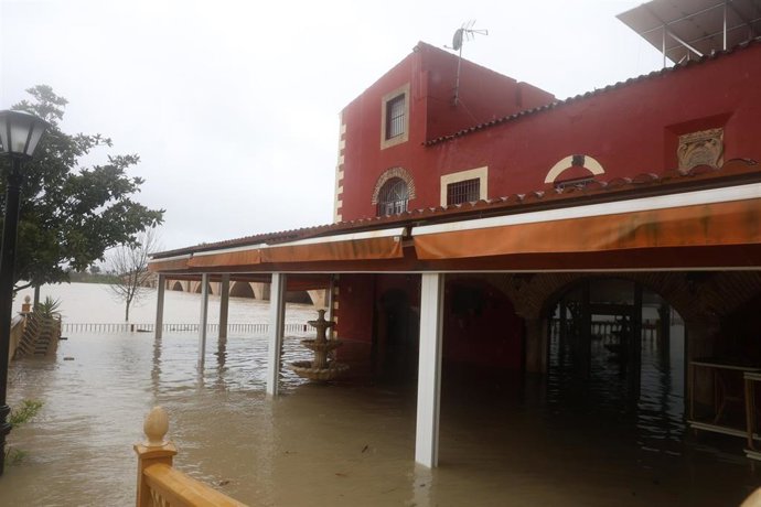 Imagen de la barriada de La Corta en Jerez de la Frontera (Cádiz)inundada tras el desbordamiento del río Guadalete a su paso por la localidad. A 5 de febrero de 2026, en Jerez de la Frontera, Cádiz (Andalucía, España). 