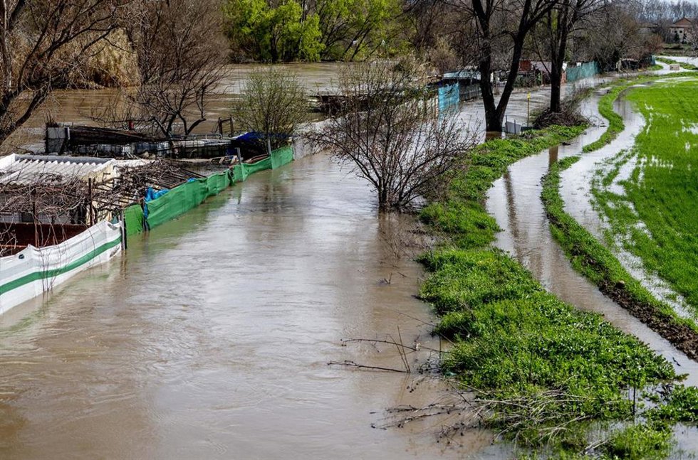 Archivo - Zona de cultivos afectada por el desbordamiento del Río Jarama en 2025
