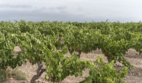 La Rioja