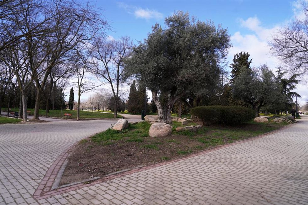 Foto de archivo del parque de Las Cruces